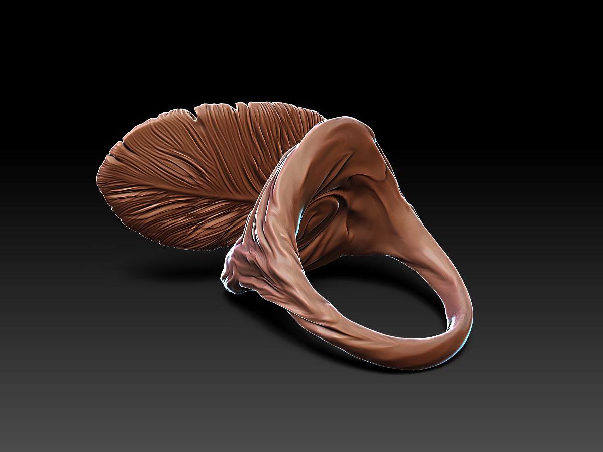 Rings with a Feather. Jewelry design and 3D Rendering. Sculpted jewellery.